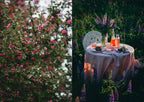 Kochbuch Nordic Summer