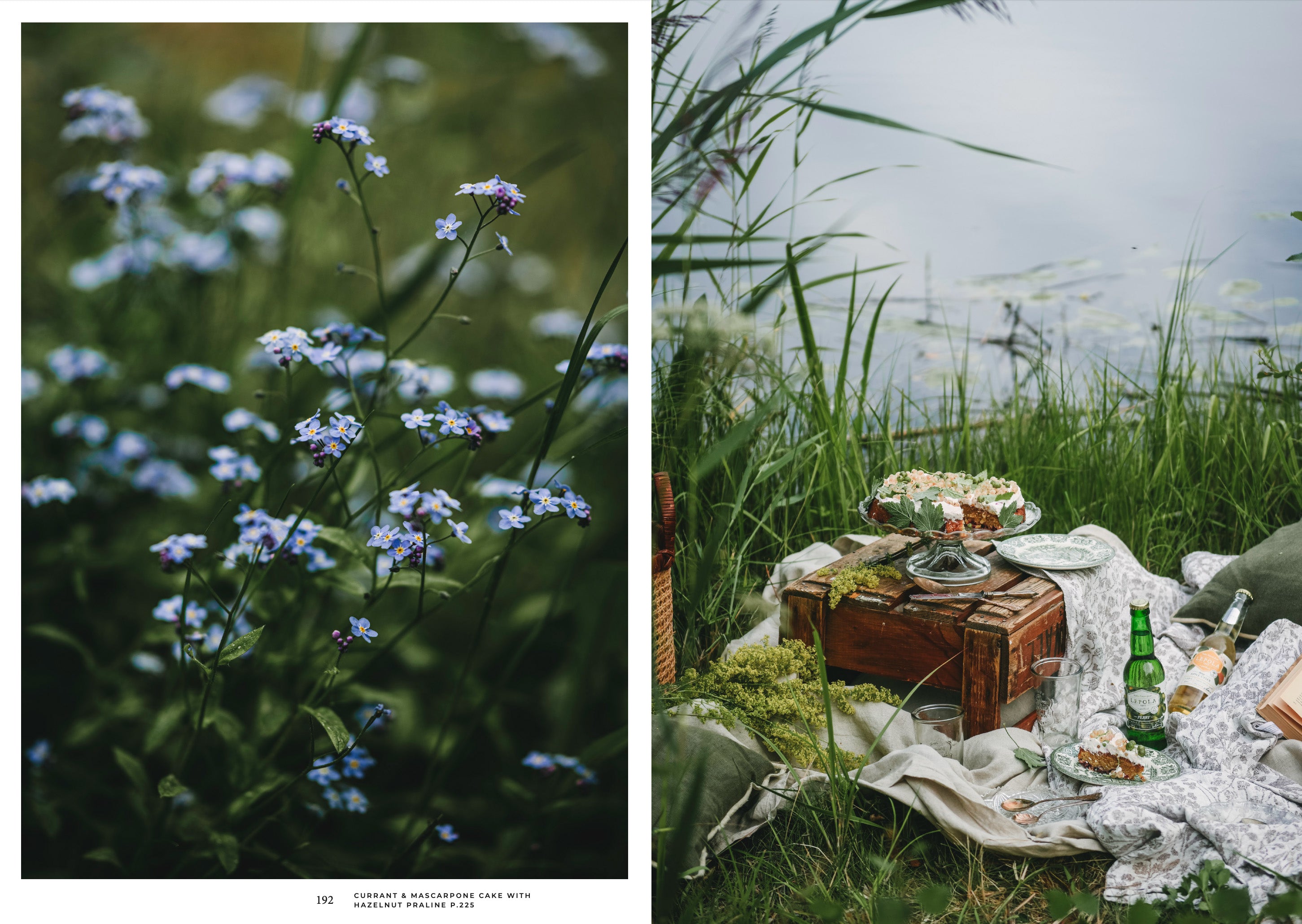 Kochbuch Nordic Summer