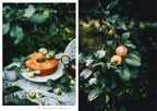 Kochbuch Nordic Summer