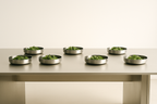 Food Bowl Large